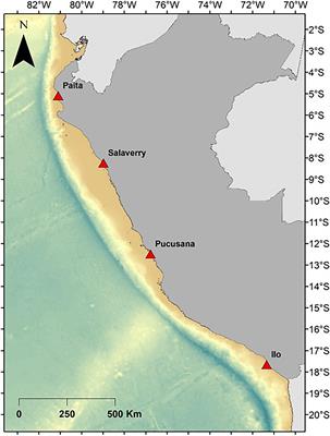 Use of Small Cetaceans as Bait in Small-Scale Fisheries in Peru